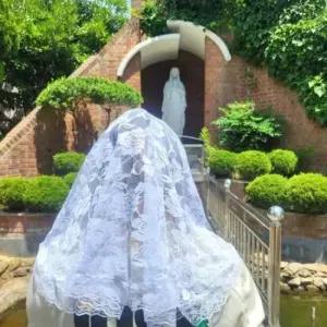 성당 카톨릭 미사보 장미패턴 레이스 화이트