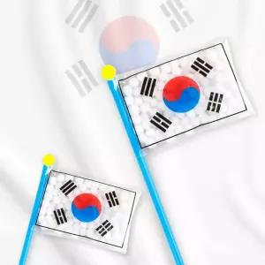 만들기패키지 TBZ 태극기피리만들기 DIY719