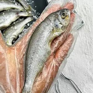 온지니엘 참조기 굴비 40미 국내산조기