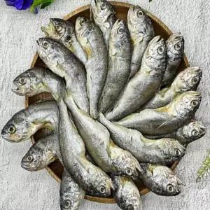 온지니엘 참조기 굴비 20미 반건조조기