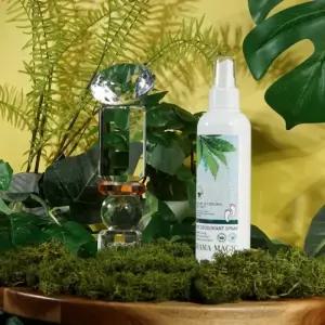 스타킹 페퍼민트잎 발냄새 뽀송뽀송 풋스프레이 200ml