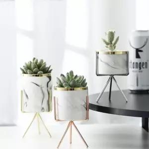 다육이 선인장 화분 인테리어 소품 거치대 세트 실내 식물 미니가드닝 식물용 토분 공간