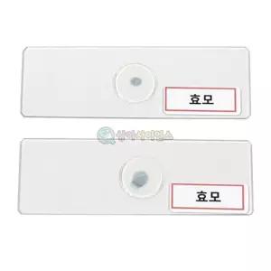 과학활동 영구프레파라트 효모 2매 1조 초등저학년 과학관 초등고학년 과학실습 단일상품 식사 간편요리 회