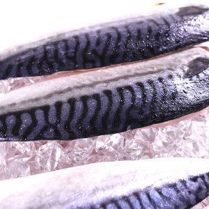 노르웨이고등어순살10팩