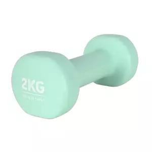 가정용 팔 운동 헬스 네오프렌 기구 아령 덤벨 2KG