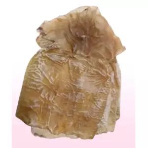 [더주] 껍질 벗겨 더 쫄깃한 몸통건오징어 250g(9~15미)