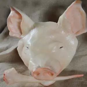 인조 돼지머리모형 제삿상 고사 개업용 장식품 레트로 촬영소품 모조음식