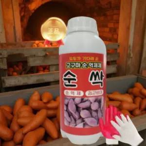 고구마순 억제제 웃자람 방지 수용성 성장 줄기 전용 비료 화분 영양제 1L