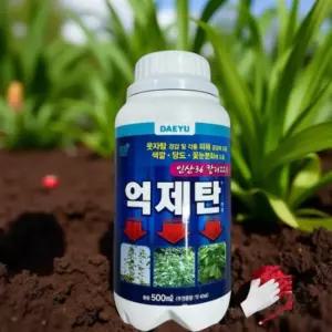 고구마순 억제제 웃자람 방지 수용성 성장 줄기 전용 비료 화분 영양제 500ml