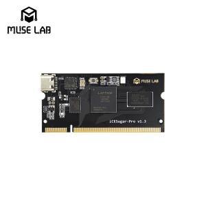 ICESugar-Pro FPGA 개발 보드  ECP5 LFE5U RISC-V 리눅스 SODIMM 모듈