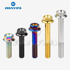 WA IFA 나사 75 30 45 50 35 M10 피치 55 100MM 티타늄 60 볼트 TI 80 육각 40 25 65 20 플랜지 70