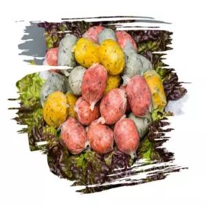 속초 삼색순대 방울순대 1KG 4개입 (진공포장)