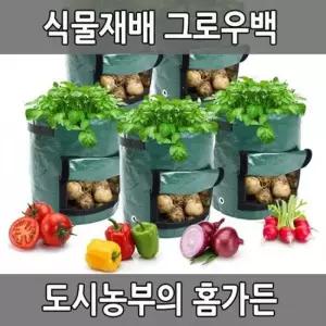 식물재배 그로우백 홈가든 텃밭 정원 화분 감자 채소 농작 농사 재배