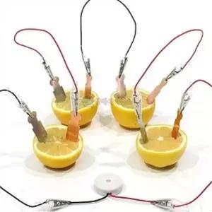 [하프클럽/브이와이]집게 과일전지(멜로디버저 만들기키트 세트)