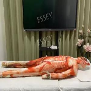 거인 코스프레 코스튬 마네킹 의상 마사지 성인 연습 모델