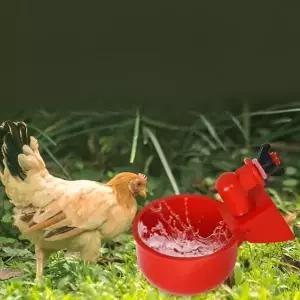 [하프클럽/알티피아]닭 자동 급수기 물통 병아리 오리 급수 닭장 양계장 물 수평컵 비둘기 새