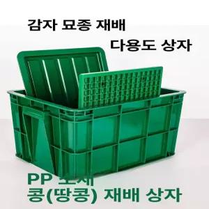 콩나물시루 플라스틱 발아통 상자 새싹 화분 숙주재배 씨앗 제공