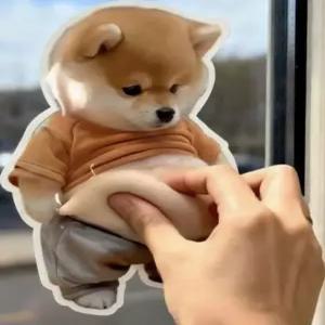 onyou 시바견 도어가드 말랑이 스퀴시 자동차 문콕방지 댕댕이 엉덩이 냉장고 자석