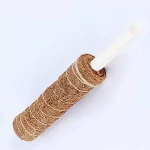 식물 고정 몬스테라 수태봉 넝쿨 지지대 코코넛봉 60cm