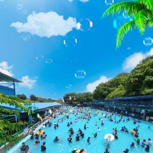 [평택] 고기굽는 수영장!!황금수영장(취사가능 및 평상무료)수영장/경기/가볼만한곳/취사가능/물놀이/방학/여름/풀장/워터파크