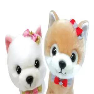 내친구 몽이콩이