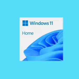 [정품인증점]윈도우11 홈 DSP 한글 설치 제품키 / Windows 11 Home 64bit DSP 한글