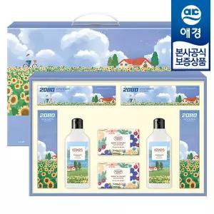[애경선물세트] 꽃길 2호 x1개