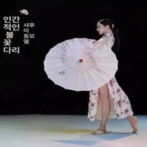 대나무 빈티지 양산 . 수제 한지우산 민속 전통지우산