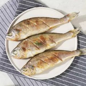 살이 통통한 국내산 영광 백조기 20미/ 총 2kg 이상