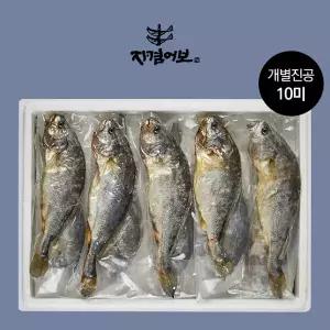 법성포 부세보리굴비 진공팩 10미/31-33cm(왕특대)