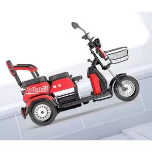 세발 오토바이 전동차 다인승 바이크 어르신 전기 3발