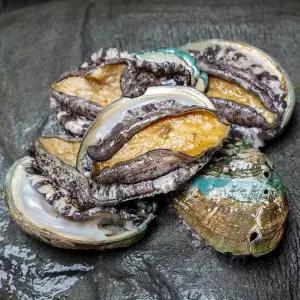 완도 전복 1kg 특대(8-9미 내외)