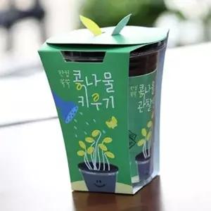 고품질 어린이 새싹 재배 키트 가족 식물 키우기 키트 씨앗 성장 재배 WFLW36N