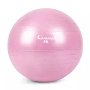 아이워너 안티버스트 짐볼 65cm 라일락 퍼플 다이어트