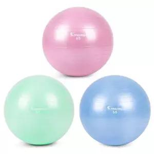 아이워너 안티버스트 짐볼 65cm (택1) 다이어트 운동 짐볼운동