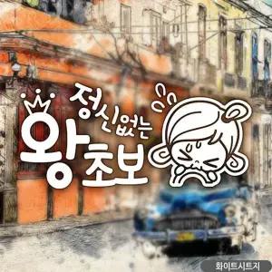 [셀러에이드]bns 초순이 정신없는왕초보 초보자동차스티커 화이트