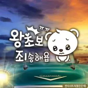 [셀러에이드]bns 곰돌이의왕초보죄송해욥 초보자동차스티커 반사
