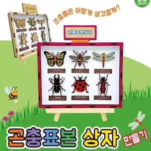 곤충 표본 상자 만들기학습용 브로마이드 제공