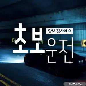 bns 양보감사초보운전 고딕체 초보자동차스티커 화이트