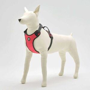 대형견 개마네킹 강아지마네킹 사진관 제품 래브라도 49x49cm