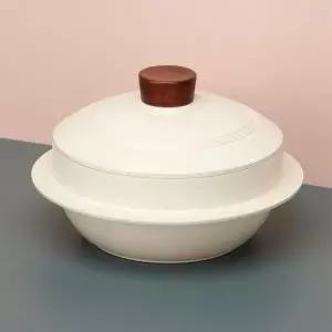 비자트 팬 IH 세라믹 가마솥 20cm