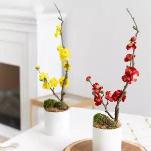 아트박스/플라워트리 매화 조화 화분 나무 set 12x52cm 2컬러 인테리어 꽃