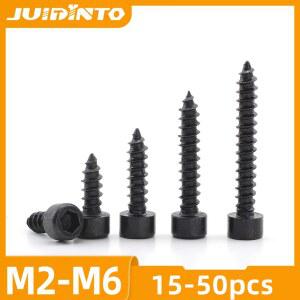 셀프 알렌 육각 탄소강 육각형 M2 소켓 15 태핑 50PCS 스피커 나사 JUID 오디오 M6 검정색