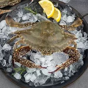 [자연맛남]달큰한 연평도 활 숫꽃게 3kg (소/kg당 5-6미/빙장포장)