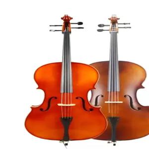 고급 첼로 레슨용 학습 학원 초보자 교육용