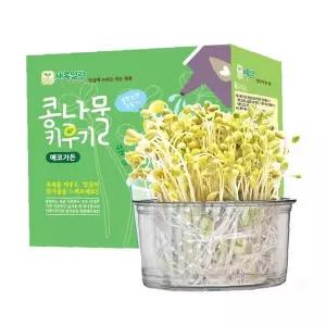 새싹 채소 가정용 수경재배 키트 실내 텃밭 체험 학습 교구 식물 기르기 원예
