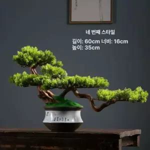 소나무 분재 미니 축하 반려식물 행잉 해송 반려 개업