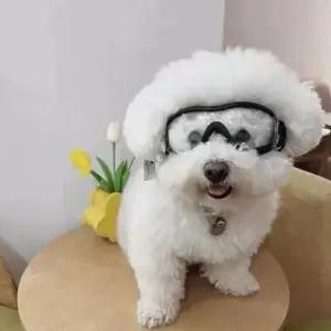강아지용 고글 애견 도글라스 대형 중형 멍글라스 애