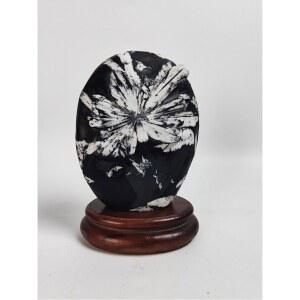 꽃돌 수석 수집품 화원석 장식 1호 홈데코 국화 관상용 천연 자연 데코 입체 국화석 천연석 문양석 거실 장식용