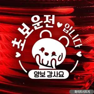 bns 아기곰 초보운전입니다 초보자동차스티커 화이트
